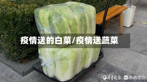 疫情送的白菜/疫情送蔬菜-第2张图片