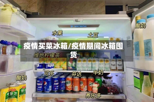 疫情买菜冰箱/疫情期间冰箱囤货