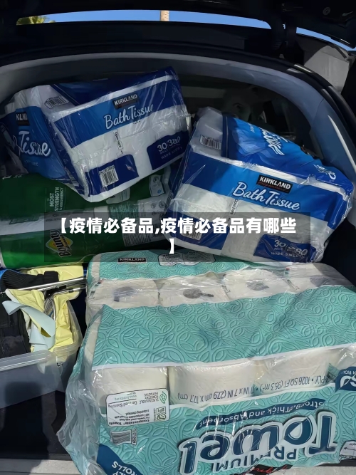 【疫情必备品,疫情必备品有哪些】