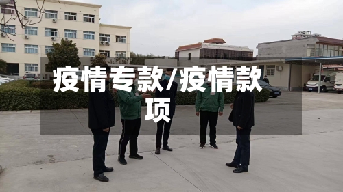 疫情专款/疫情款项-第2张图片