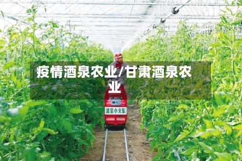 疫情酒泉农业/甘肃酒泉农业